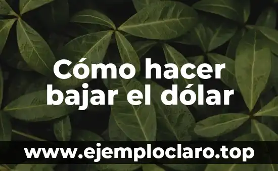Cómo hacer agua de avena para bajar la leche materna 3 Cómo hacer bajar el dólar