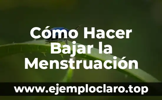 Cómo hacer agua de avena para bajar la leche materna 4 Cómo Hacer Bajar la Menstruación
