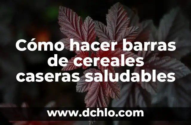 Cómo hacer bagels saludables 4 Cómo hacer barras de cereales caseras saludables