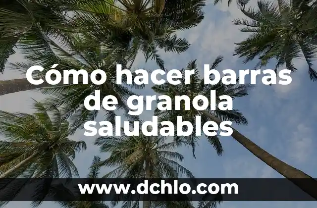 Cómo hacer bagels saludables 7 Cómo hacer barras de granola saludables