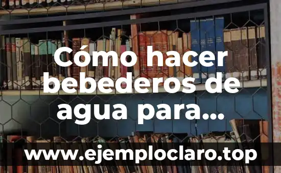Cómo hacer bebederos de agua para pájaros