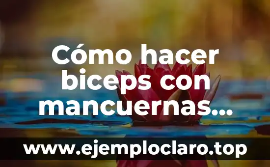 Cómo hacer biceps con mancuernas correctamente