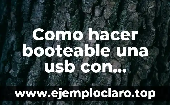 Cómo hacer un programador de memorias EEPROM USB 2 Como hacer booteable una usb con Windows 10