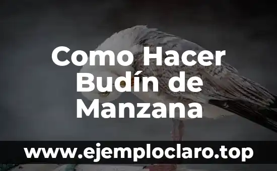 Como hacer verde manzana 5 Como Hacer Budín de Manzana