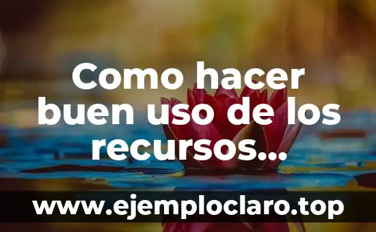 Como hacer buen uso de los recursos naturales