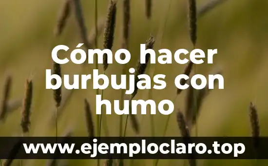 Cómo hacer grasa casera 5 Cómo hacer burbujas con humo