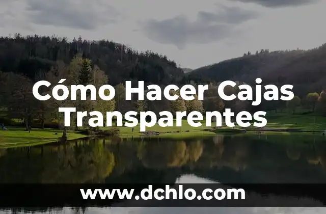 Cómo hacer esferas con bombitas de agua y decorarlas 6 Cómo Hacer Cajas Transparentes