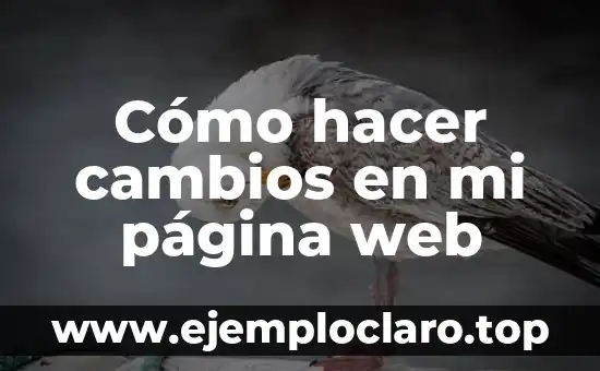 Cómo hacer cambios en mi página web