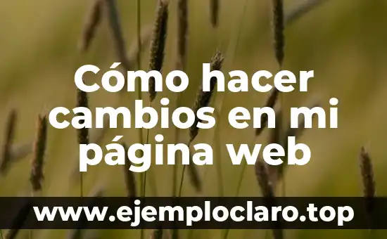 Cómo hacer cambios en mi página web