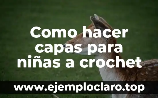 C贸mo hacer 2 capas distintas en Flash Professional CS6 5 Como hacer capas para ni帽as a crochet