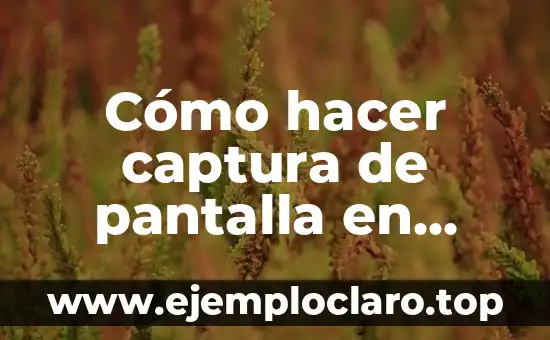 Cómo hacer captura de pantalla en tablet iBook