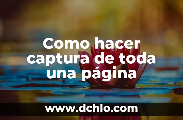 Cómo hacer una auditoría de una página web 3 Como hacer captura de toda una página