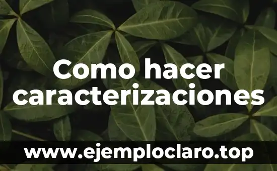 Como hacer caracterizaciones