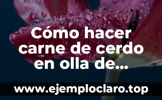Cómo hacer carne de cerdo en olla de presión