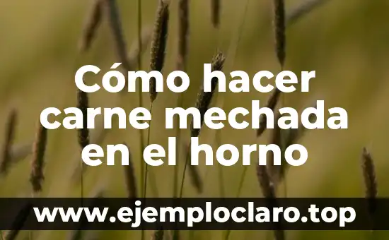 Cómo hacer carne de cerdo en olla de presión 7 Cómo hacer carne mechada en el horno