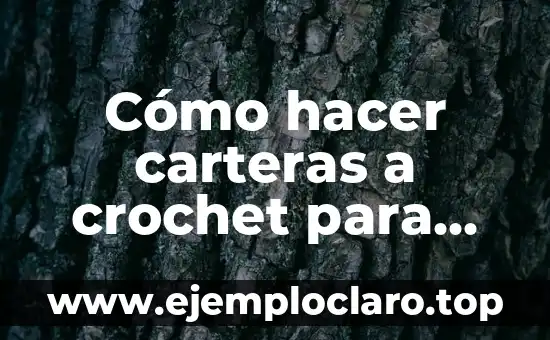Cómo hacer carteras a crochet para niñas