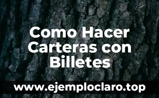 Como Hacer Carteras con Billetes