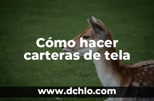 Como Hacer Carteras con Billetes 6 Cómo hacer carteras de tela