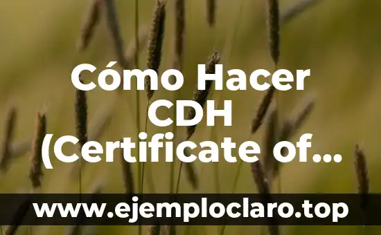 Cómo Hacer CDH (Certificate of Deposit and Hedge)