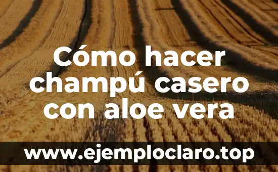 Cómo hacer champú casero con aloe vera