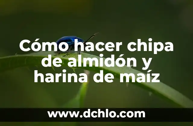 Cómo hacer tortitas de maíz tierno 5 Cómo hacer chipa de almidón y harina de maíz
