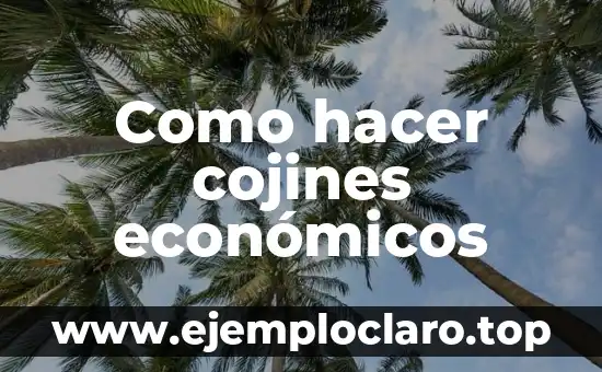 Como hacer cojines económicos