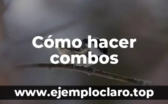 Cómo hacer cadenas para tejer 7 Cómo hacer combos
