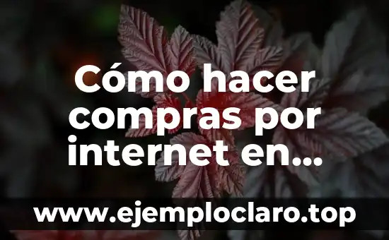 Introducción al significado de las compras 5 Cómo hacer compras por internet en Bolivia