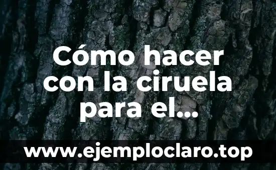 Cómo hacer a Springtrap 8 Cómo hacer con la ciruela para el estreñimiento