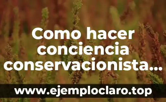 Como hacer conciencia conservacionista de una empresa