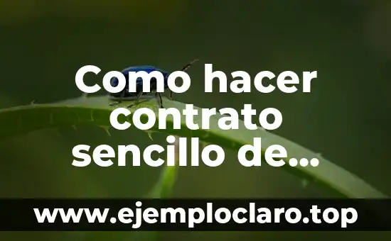 Como hacer contrato sencillo de alquiler de vivienda