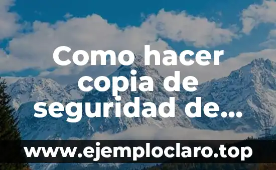 Como hacer copia de seguridad de WhatsApp GB