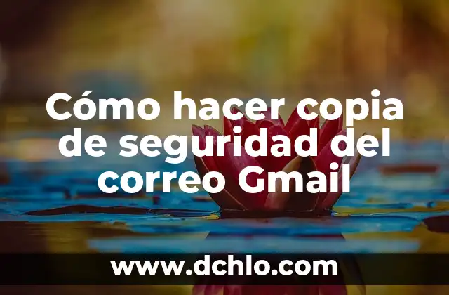 Significado de los derechos de seguridad social 6 Cómo hacer copia de seguridad del correo Gmail