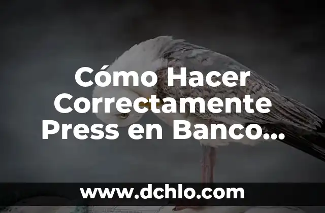 Cómo hacer un plano cartesiano en una hoja milimetrada 5 Cómo Hacer Correctamente Press en Banco Plano