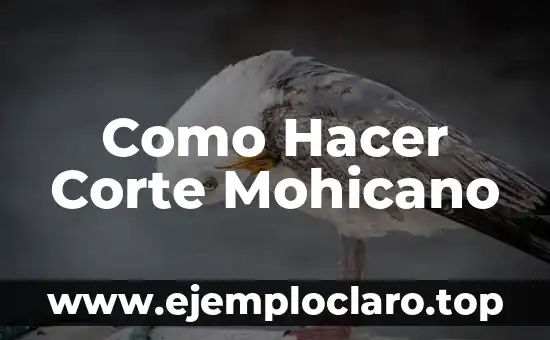 Suprema Corte de Justicia significado 3 Como Hacer Corte Mohicano