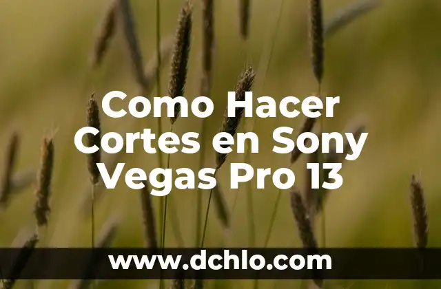 Cómo hacer disfraz de enanito casero 3 Como Hacer Cortes en Sony Vegas Pro 13