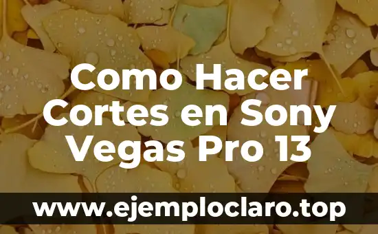 Como hacer faroles navideños con botellas plásticas paso a paso 4 Como Hacer Cortes en Sony Vegas Pro 13