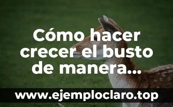 Cómo hacer crecer el busto de manera natural