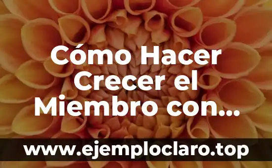 Cómo Hacer Dormir a un Bebé Toda la Noche 3 Cómo Hacer Crecer el Miembro con Ejercicios