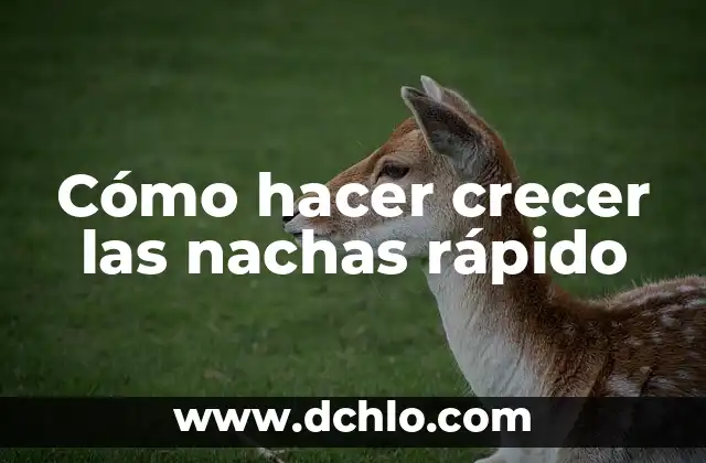 Cómo hacer que vuelva a crecer un diente 7 Cómo hacer crecer las nachas rápido