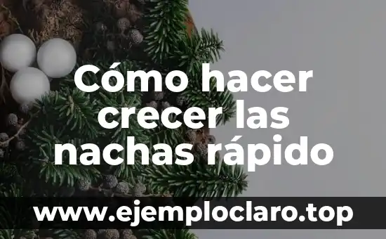 Cómo hacer crecer las nachas rápido