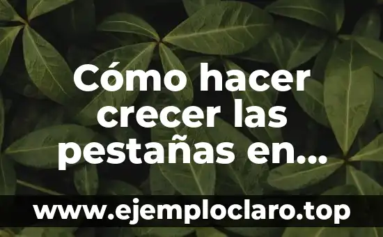 Cómo hacer crecer las pestañas en una semana con vaselina