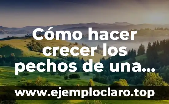 Cómo hacer crecer los pechos de una manera rápida