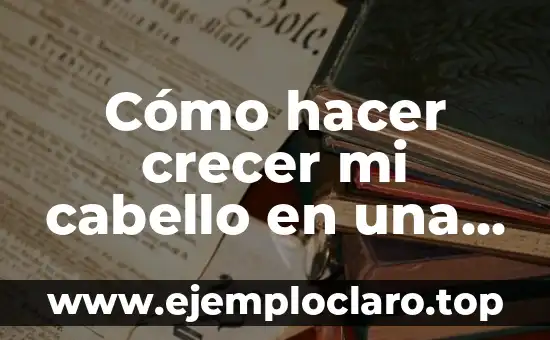 Significado Denotativo de Noche y sus Ejemplos 8 Cómo hacer crecer mi cabello en una noche