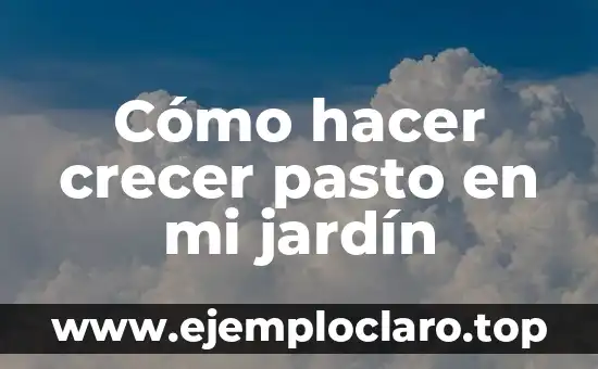 Cómo hacer crecer pasto en mi jardín