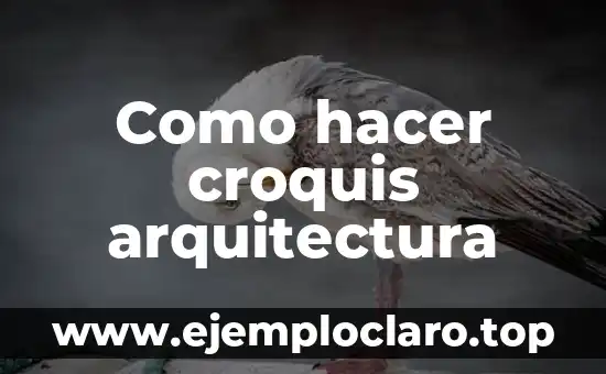 Como hacer croquis arquitectura