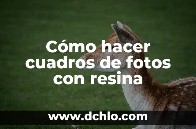 Como hacer pintura de cal con color 6 Cómo hacer cuadros de fotos con resina