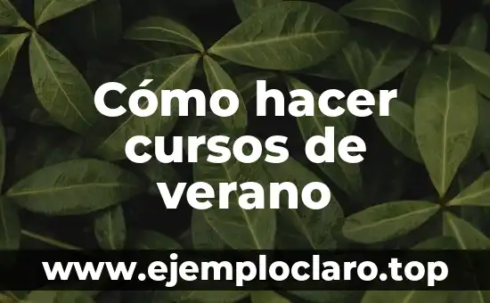 Cómo hacer cursos de verano