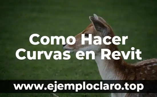 Cómo hacer huecos en muros en Revit 5 Como Hacer Curvas en Revit