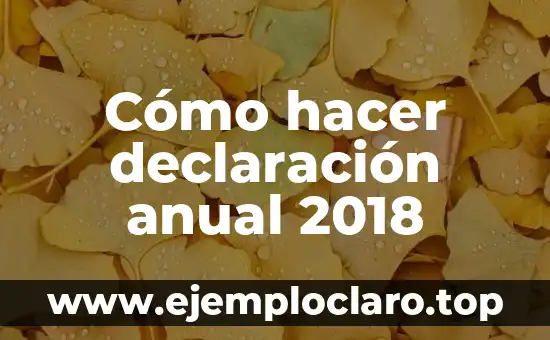 Cómo hacer declaración anual 2018